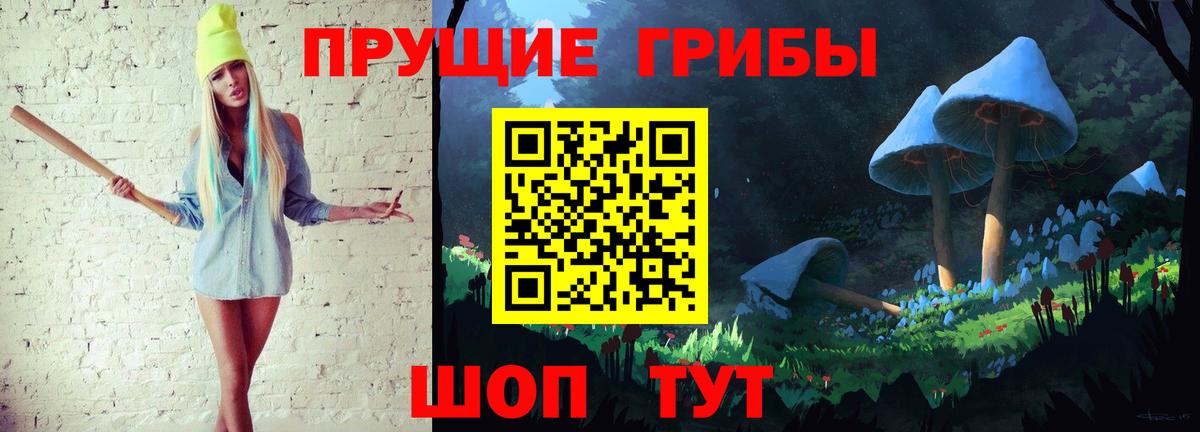 Бугульма  что такое   Галлюциногенные грибы Cubensis  Вход с VPN  Галлюциногенные грибы GOLDEN TEACHER 